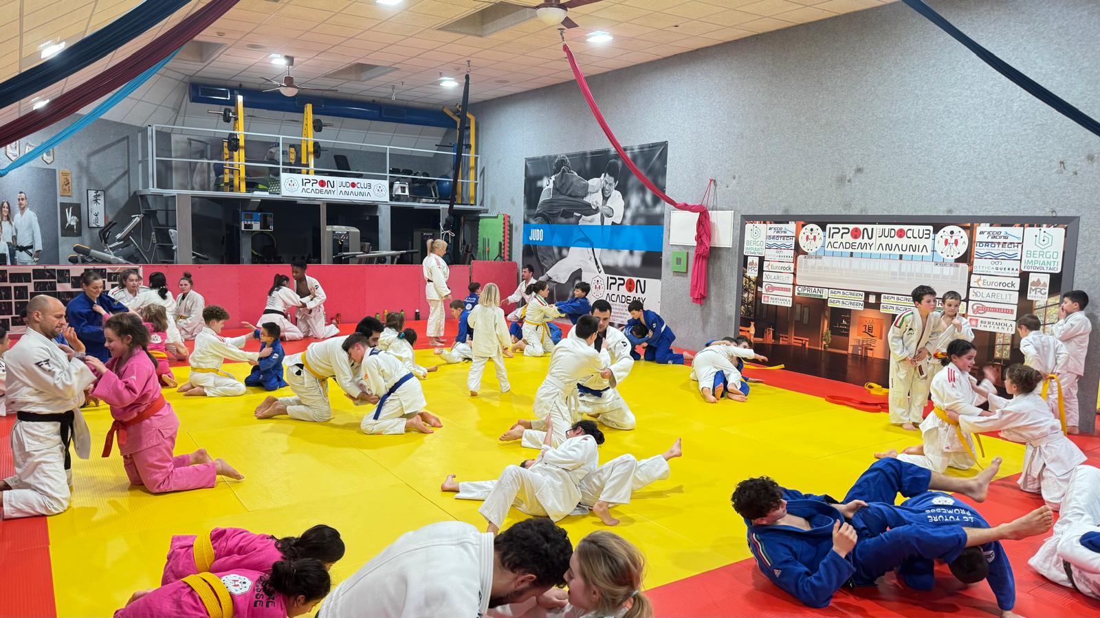 Allenamento Ippon Academy