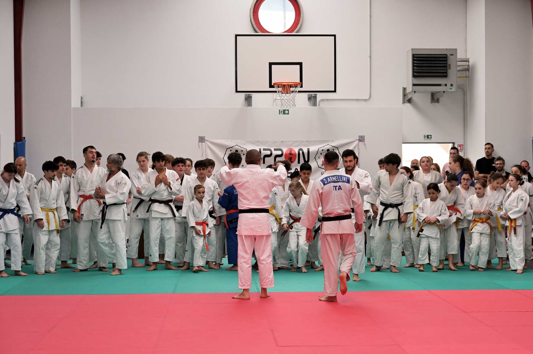 Atleti sul tatami Ippon Academy
