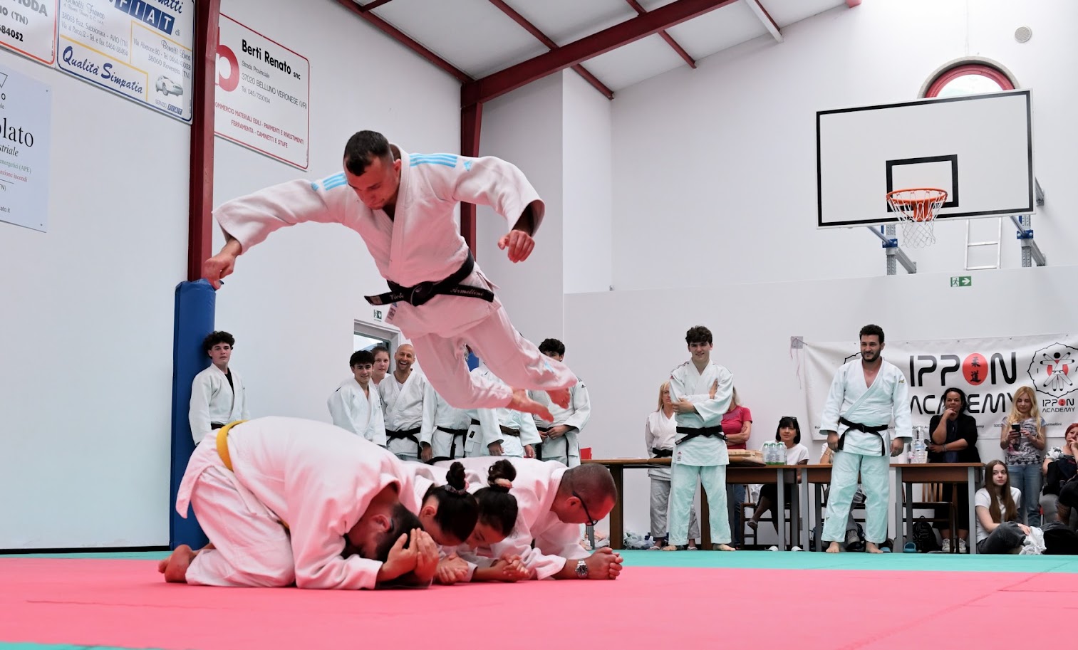 Denis Armellini in volo